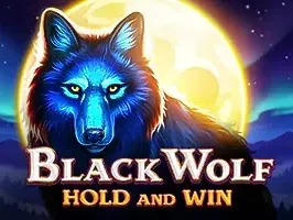 Black Wolf Hold and Win game cover