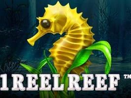 1 Reel Reef game cover