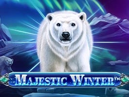 Majestic Winter game cover